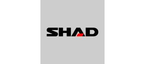 Shad
